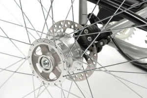 B1-Disc-brake-rear-wheel.jpg