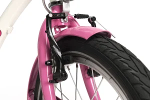 Happy-detail-V-brakes.jpg (1)