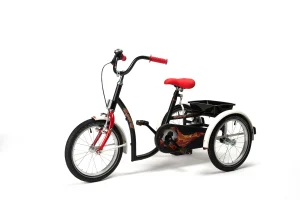 tricycle-2014-model-2215-Sporty-black.jpg (3)