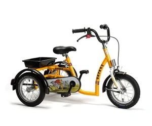 web_tricycle-2014-model-2202-Safari-orange-bis.jpg (2)