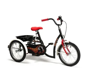 web_tricycle-2014-model-2215-Sporty-black-bis.jpg (1)