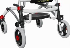 crocodile-standard-2