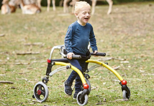 crocodile-standard-3