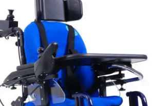 forest-kids-standard-2