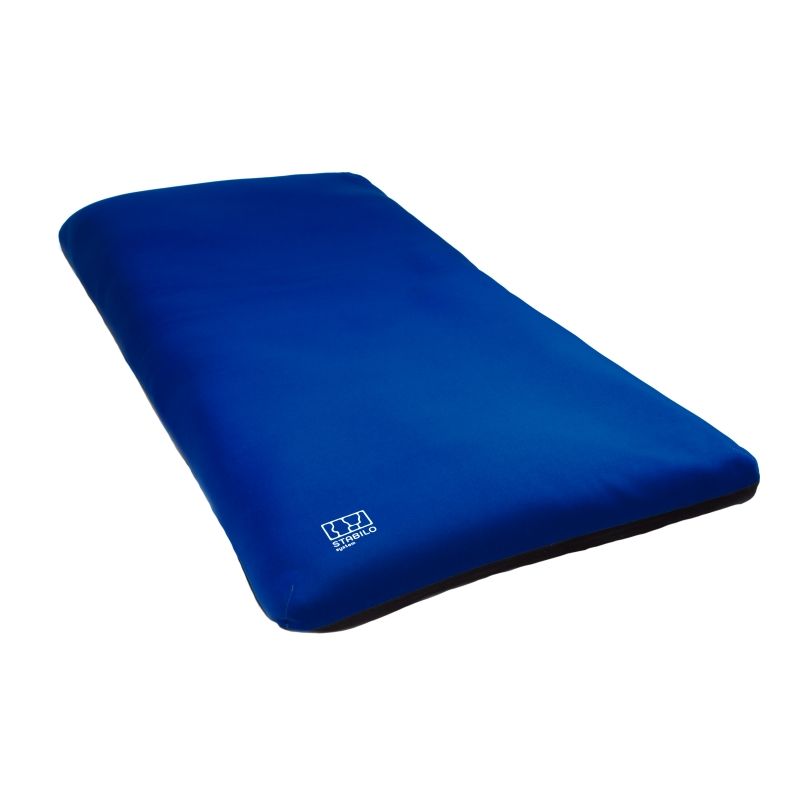 pern-tip-saltea-stabilo-grande-4