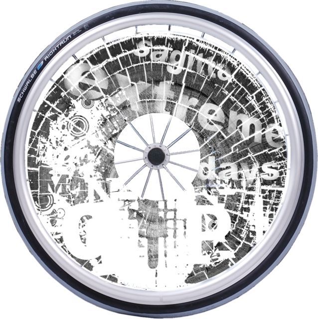 protecie-spie-pentru-scaun-cu-rotile-1