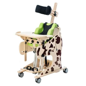 Scaune de poziţionare